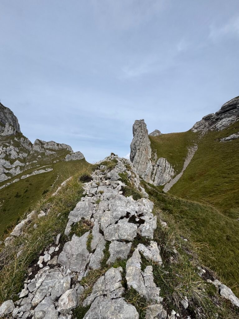 A tower of rock.