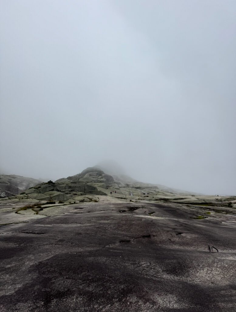 A view up a foggy mountain