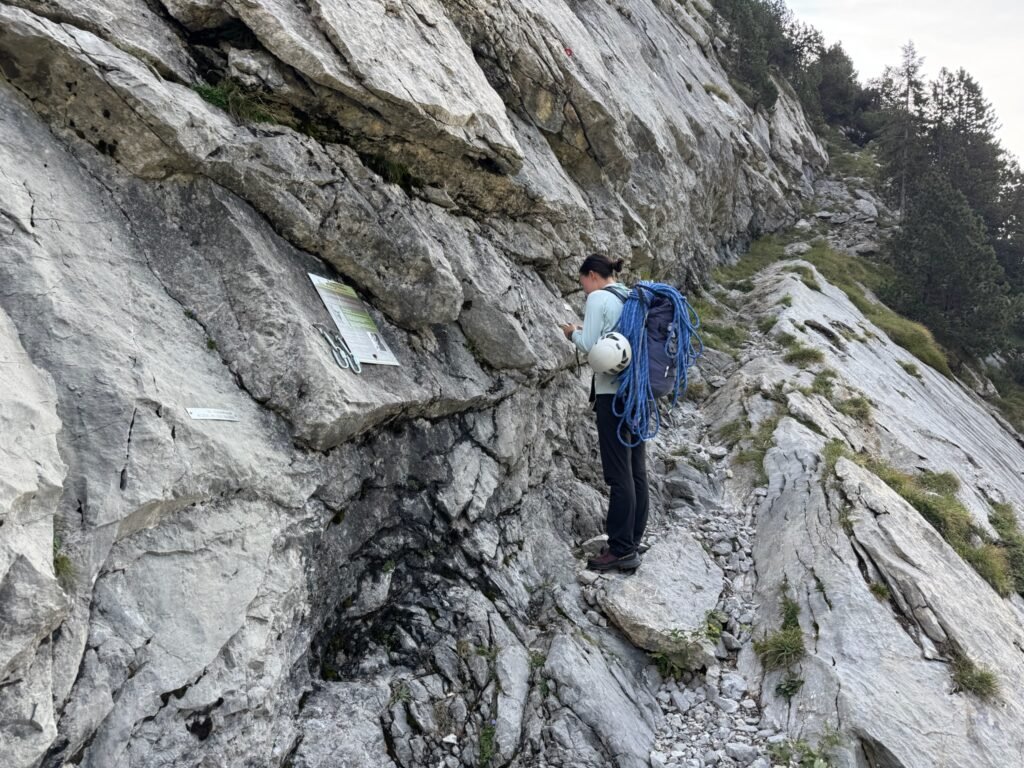 A rock climber pauses at the base of a route, checking directions.